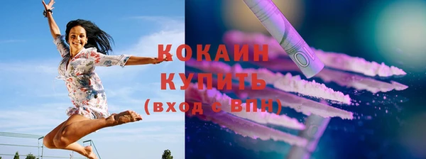 тгк Алзамай